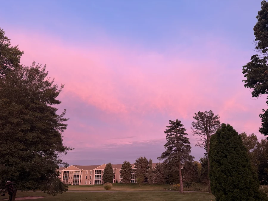 A pink sunset sky over trees and a building