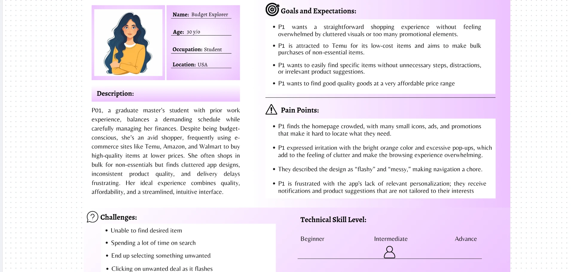 Persona card for Budget Explorer, a 30-year-old graduate student, with goals, pain points, challenges, and technical skill level
